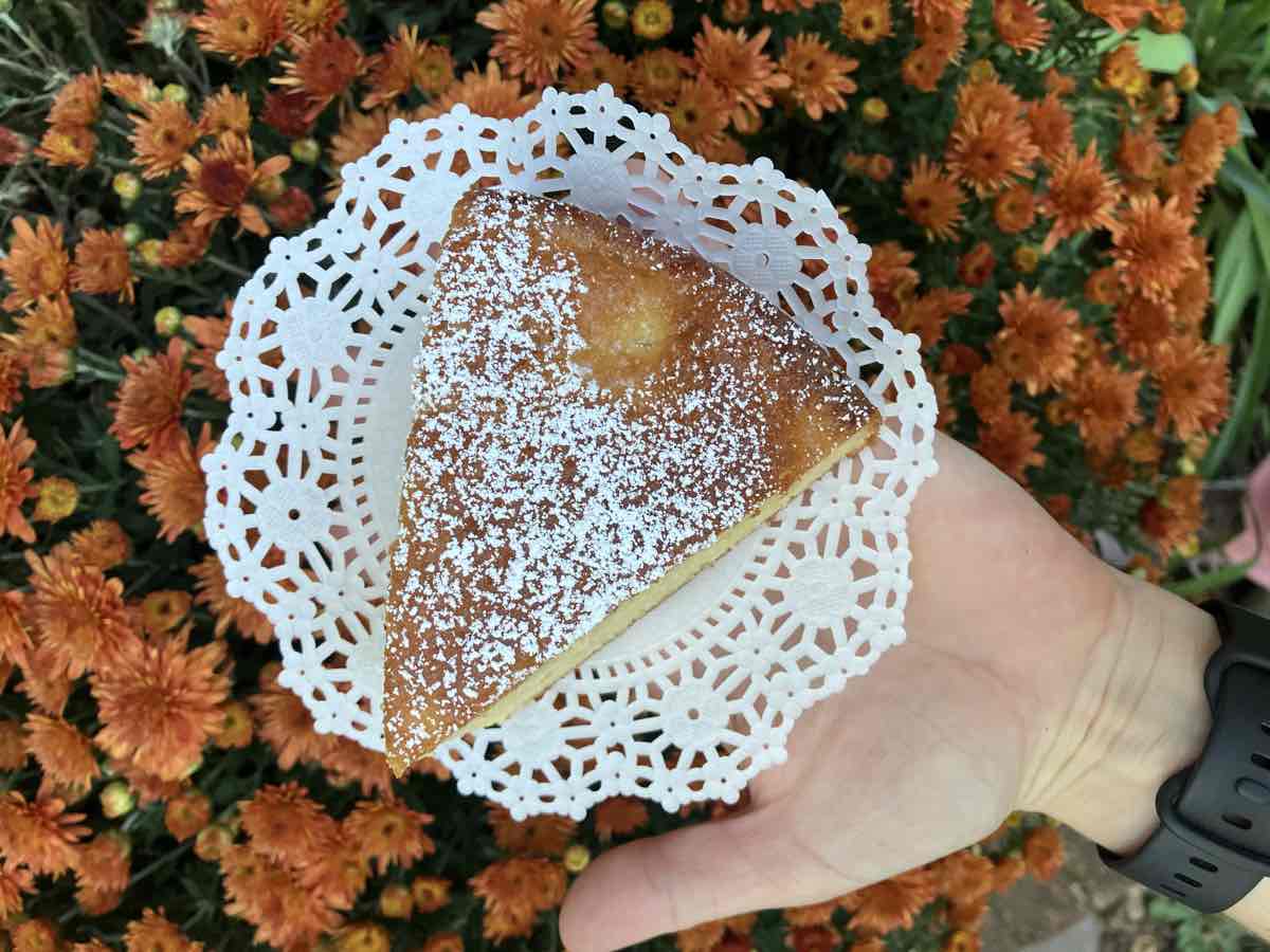 Yogurt cake